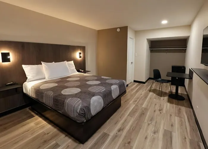 Motel Star &